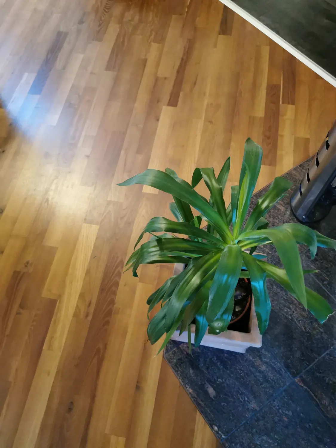 MAVI Bau & Dienstleistungen - Bauarbeiten - Bodenarbeiten