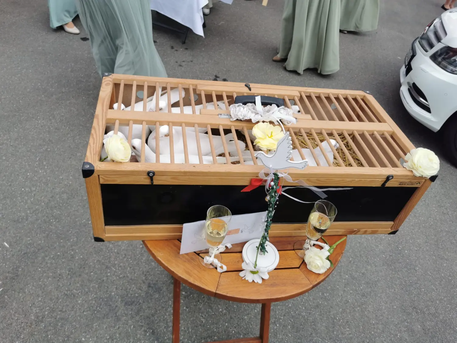 MAVI Bau & Dienstleistungen - Hochzeitstauben