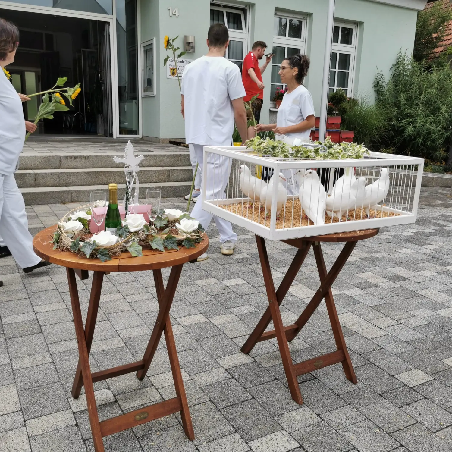 MAVI Bau & Dienstleistungen - Hochzeitstauben
