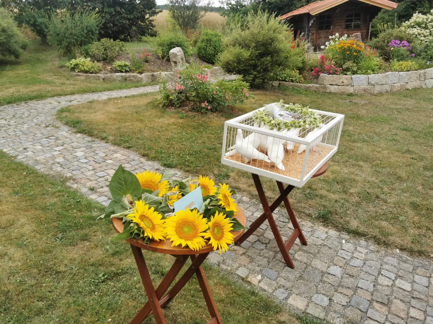 MAVI Bau & Dienstleistungen - Hochzeitstauben