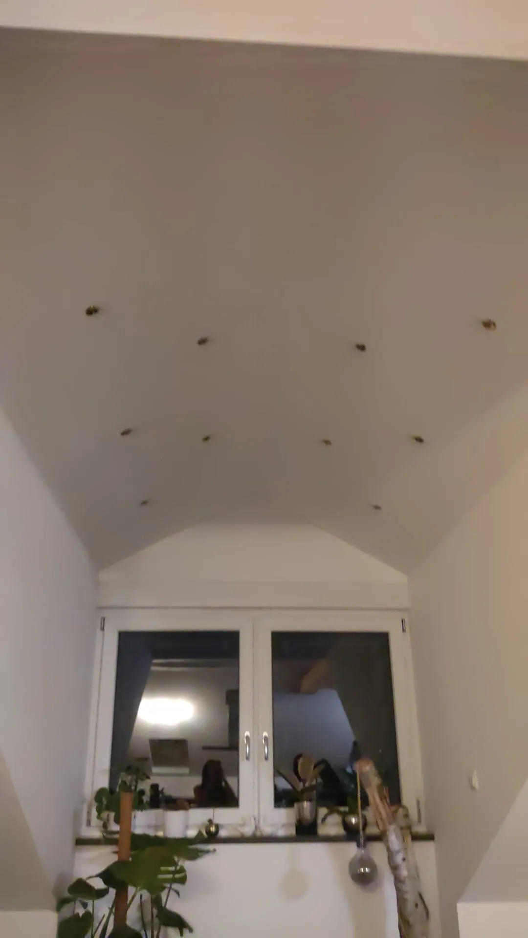 MAVI Bau & Dienstleistungen - Bauarbeiten -Innendecke